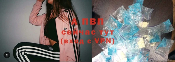 2c-b Чекалин