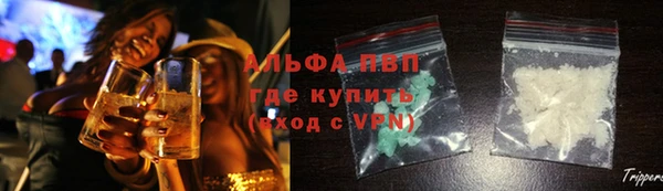 ПСИЛОЦИБИНОВЫЕ ГРИБЫ Гусев