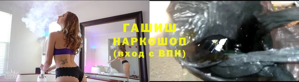 ПСИЛОЦИБИНОВЫЕ ГРИБЫ Гусев