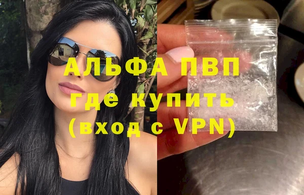 ПСИЛОЦИБИНОВЫЕ ГРИБЫ Гусев