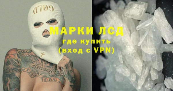 ПСИЛОЦИБИНОВЫЕ ГРИБЫ Гусев