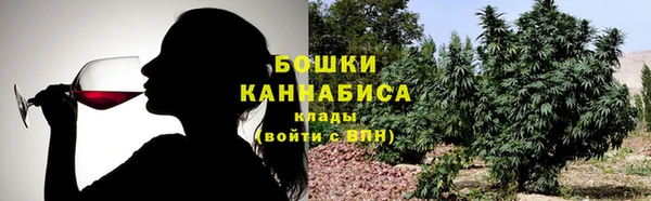 ПСИЛОЦИБИНОВЫЕ ГРИБЫ Гусев